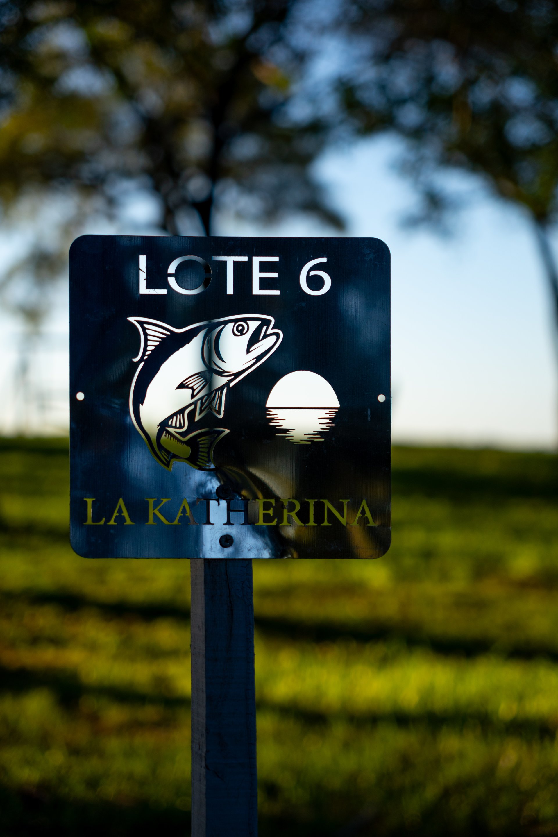 La Katherina - Cartel Lote 6